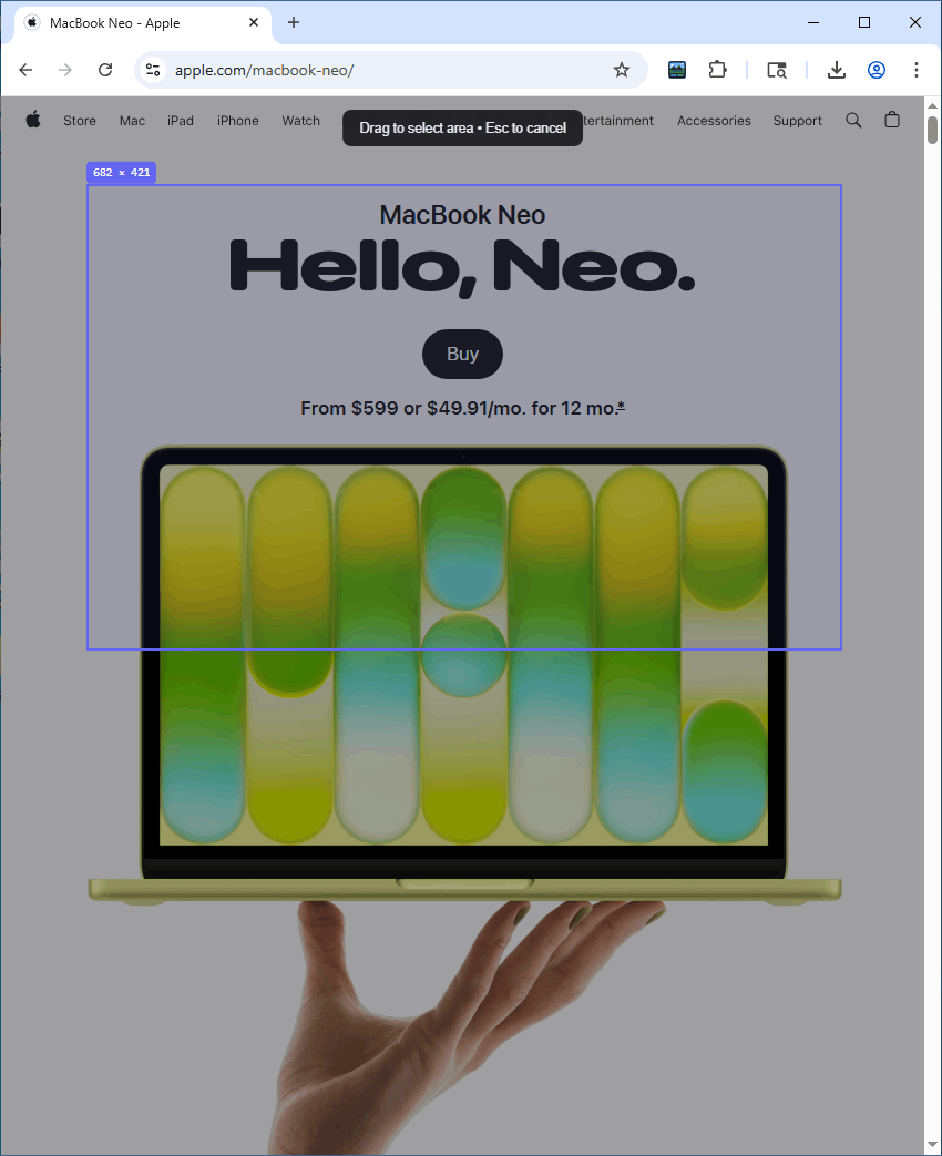 APIVoid Full Page Capture extension showing the drag-to-select area overlay on a webpage