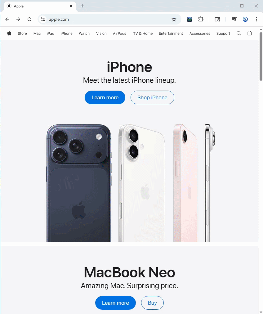 APIVoid Full Page Capture extension capturing a full page by scrolling