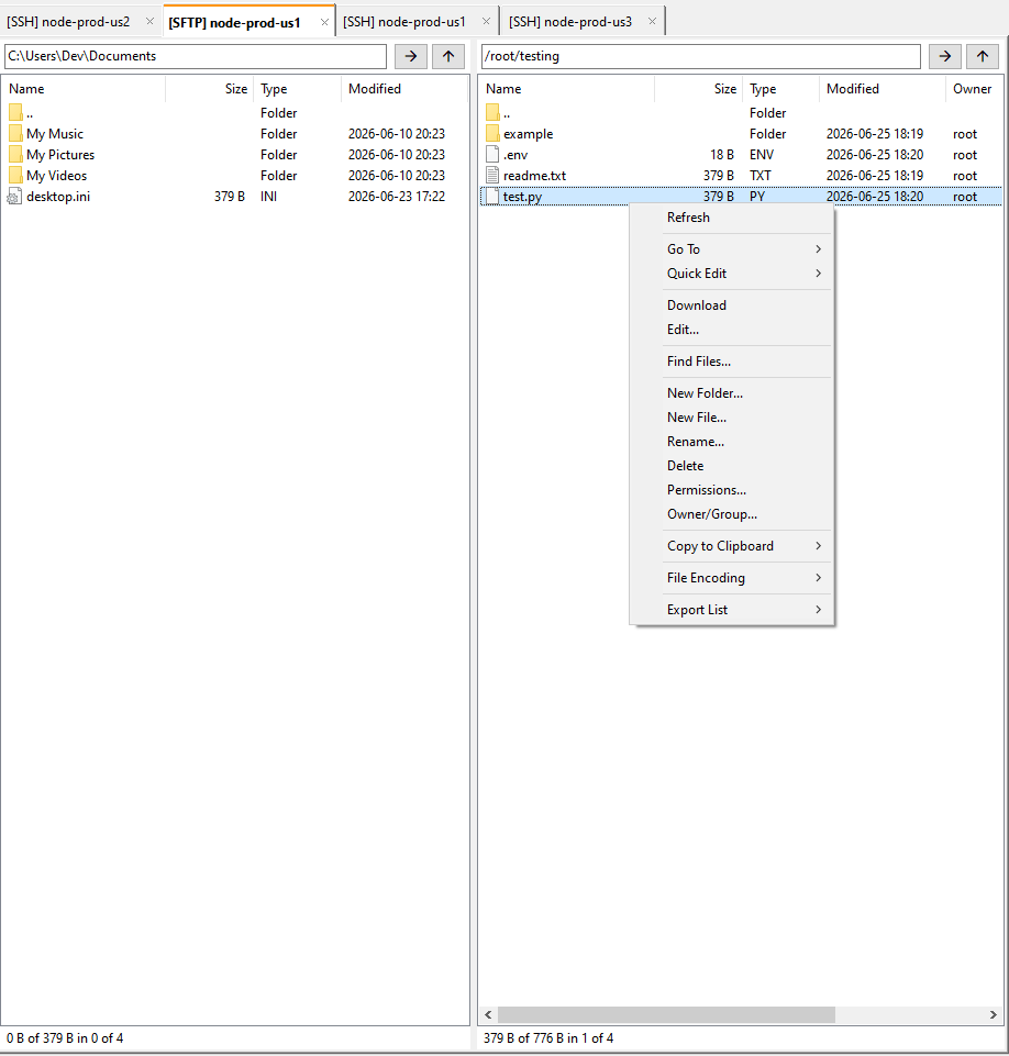 APIVoid SFTP Terminal dual-panel view with local files on the left and remote SFTP files on the right