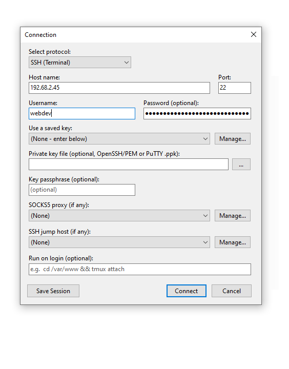 APIVoid SFTP Terminal New Connection showing saved passwords