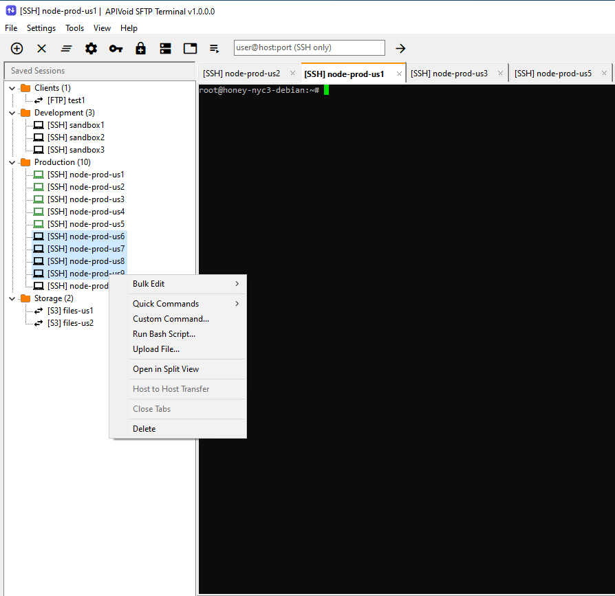 APIVoid SFTP Terminal main window showing the dual-panel SFTP file manager with local and remote files